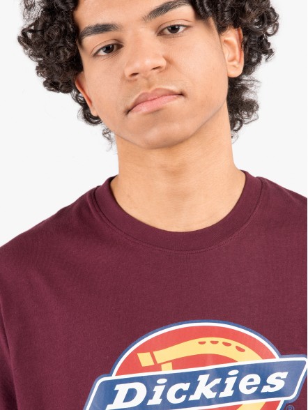 Dickies Icon Logo Dickies Icon Logo