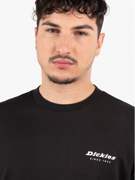 Dickies Quamba Box Dickies Quamba Box