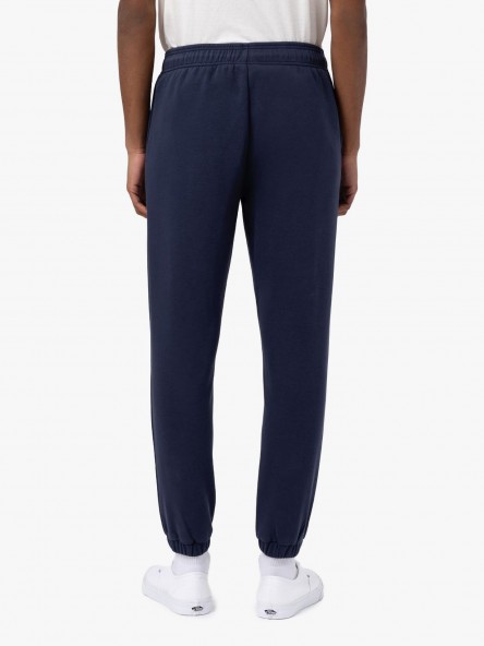 Dickies Mapleton - DK0A4XIM NV0 | Fuxia