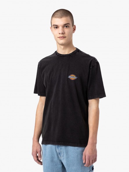 Dickies Icon Washed - DK0A4Y1R BLK | Fuxia