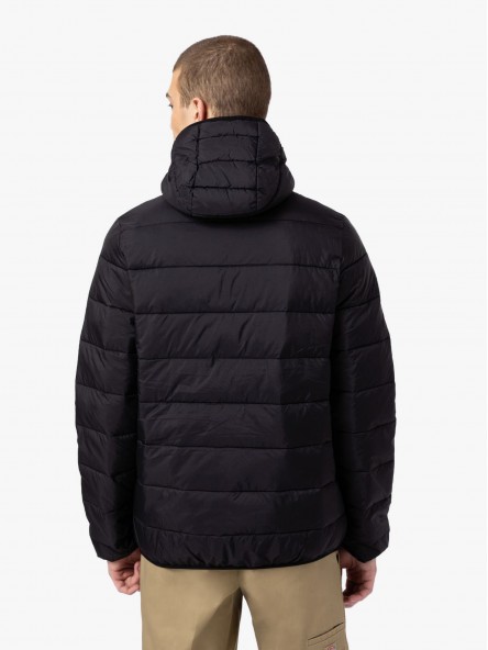 Dickies Waldenburg - DK0A4Y3X BLK | Fuxia