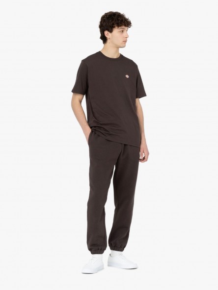 Dickies T-shirt Mapleton SS Dickies T-shirt Mapleton SS