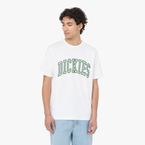 Dickies T-shirt Aitkin