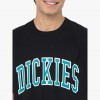 Dickies T-shirt Aitkin