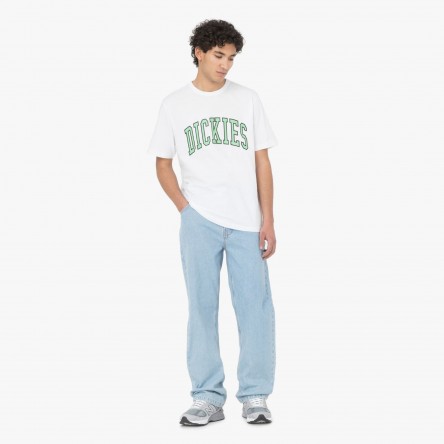 Dickies T-shirt Aitkin Dickies T-shirt Aitkin