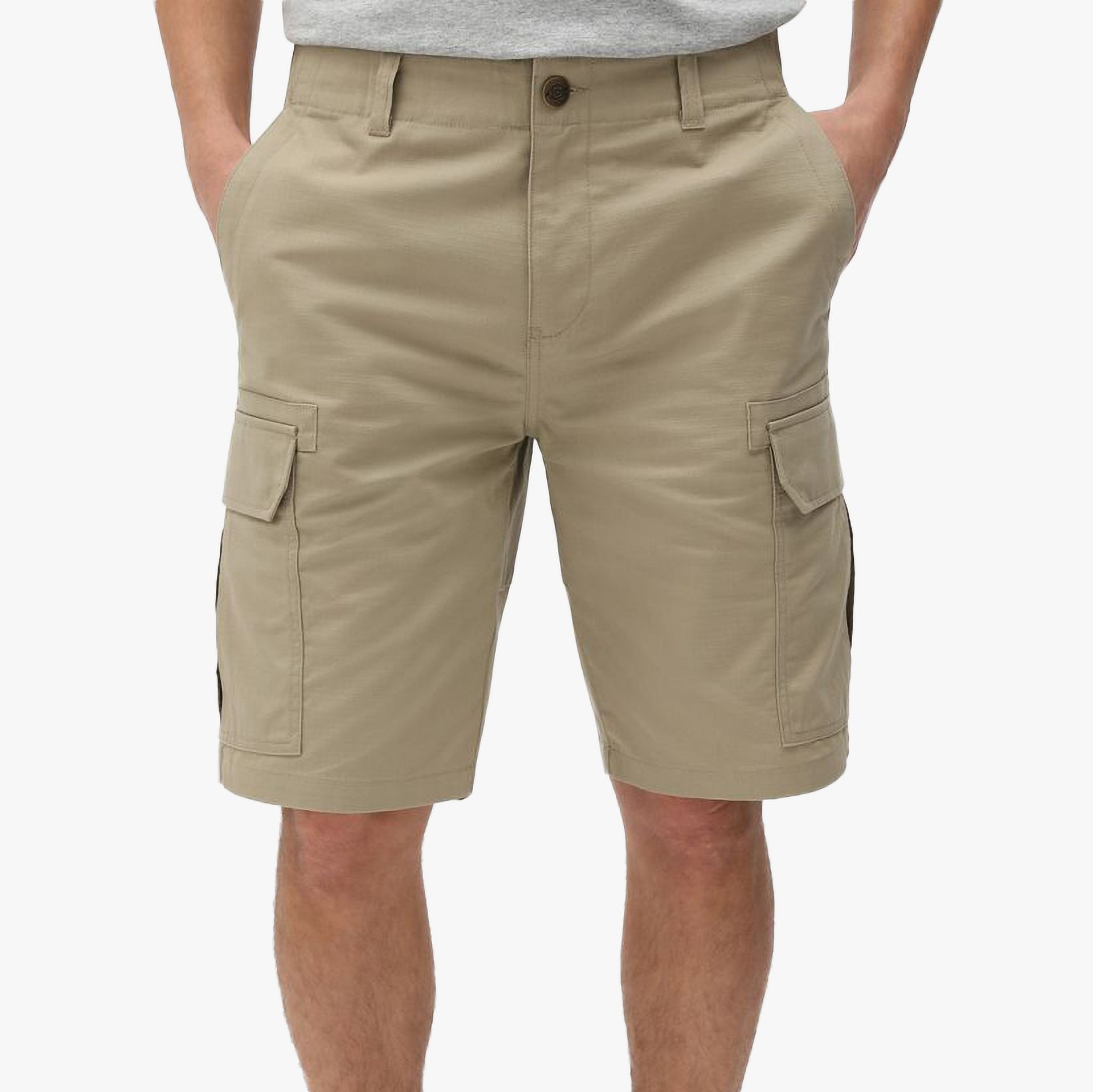 Dickies Calção Millerville