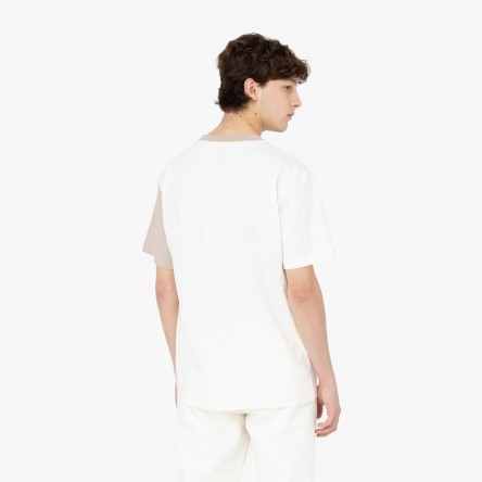 Dickies T-shirt Eddyville SS - DK0A4Y8S C58 | Fuxia