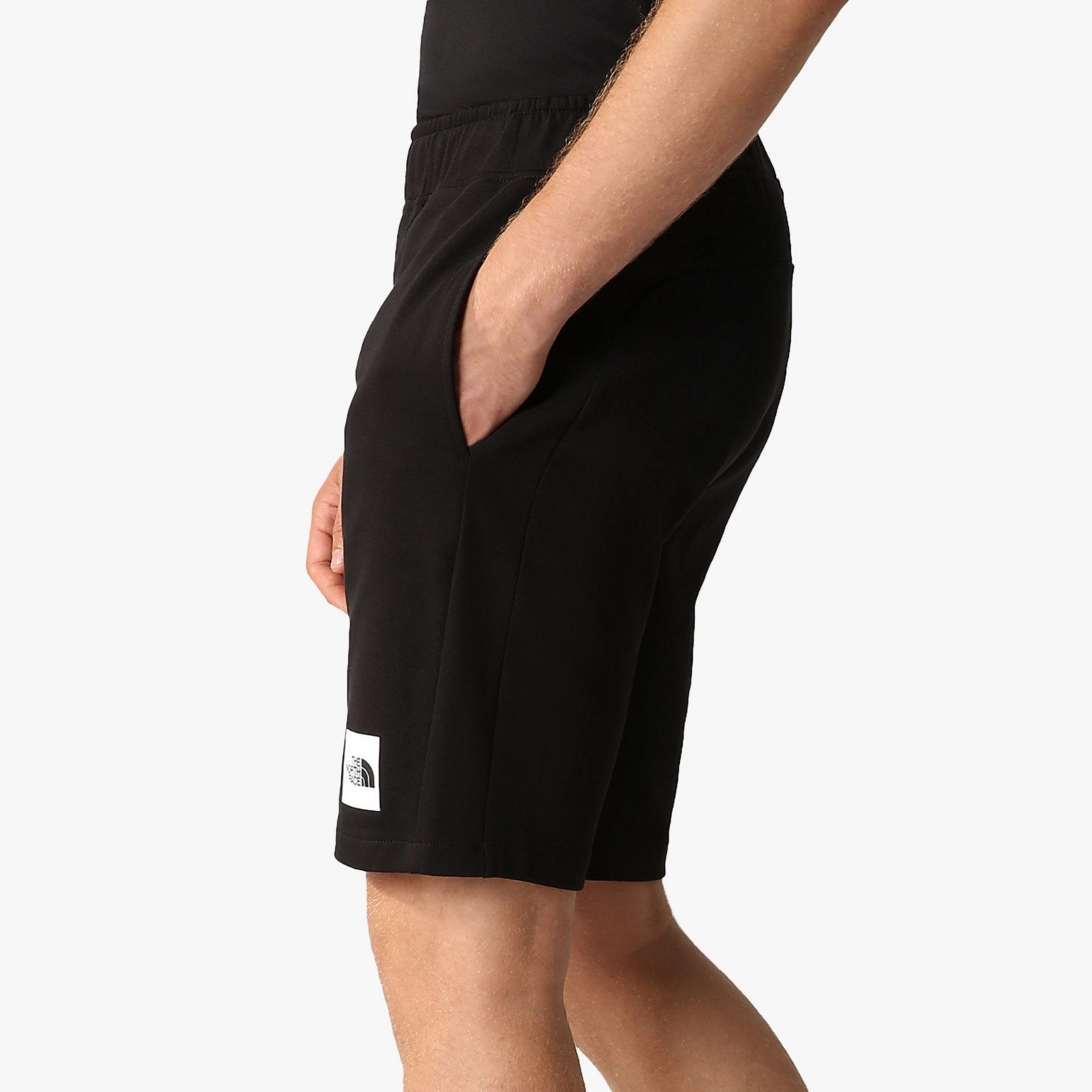 The North Face Summer Logo