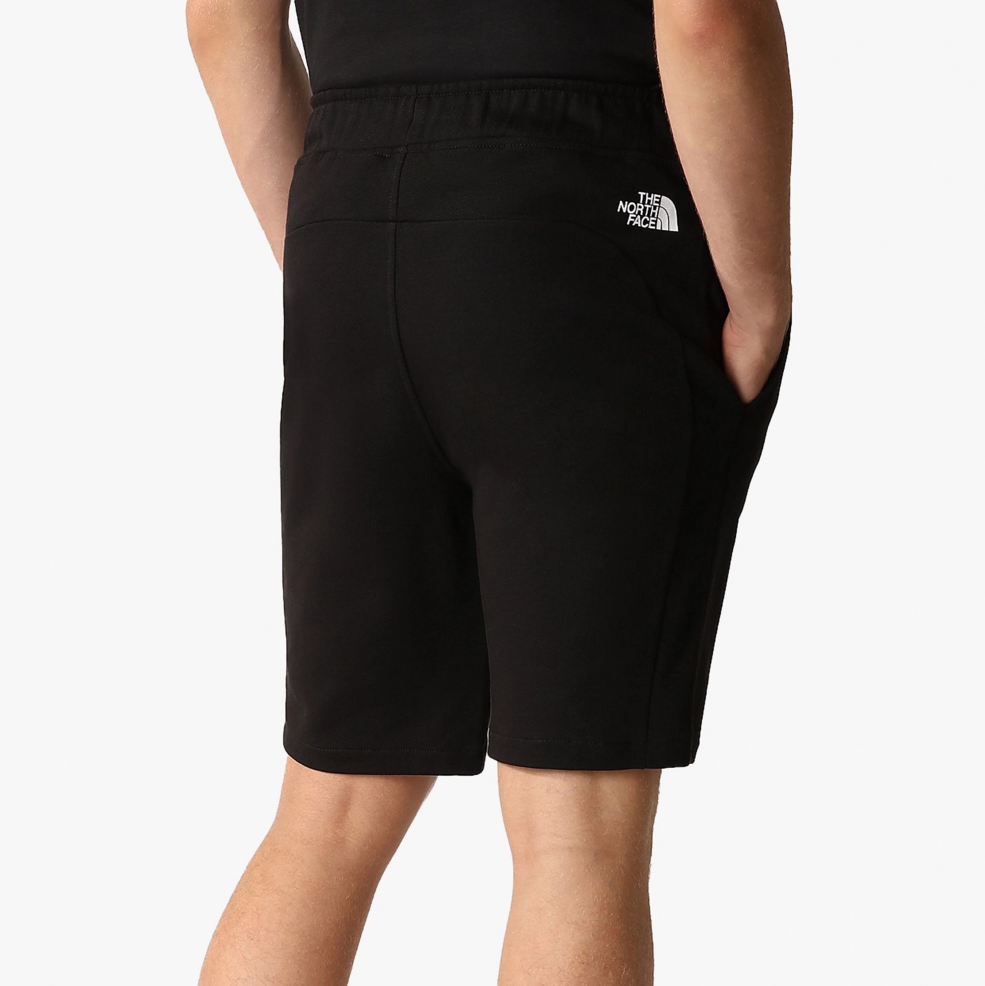 The North Face Summer Logo