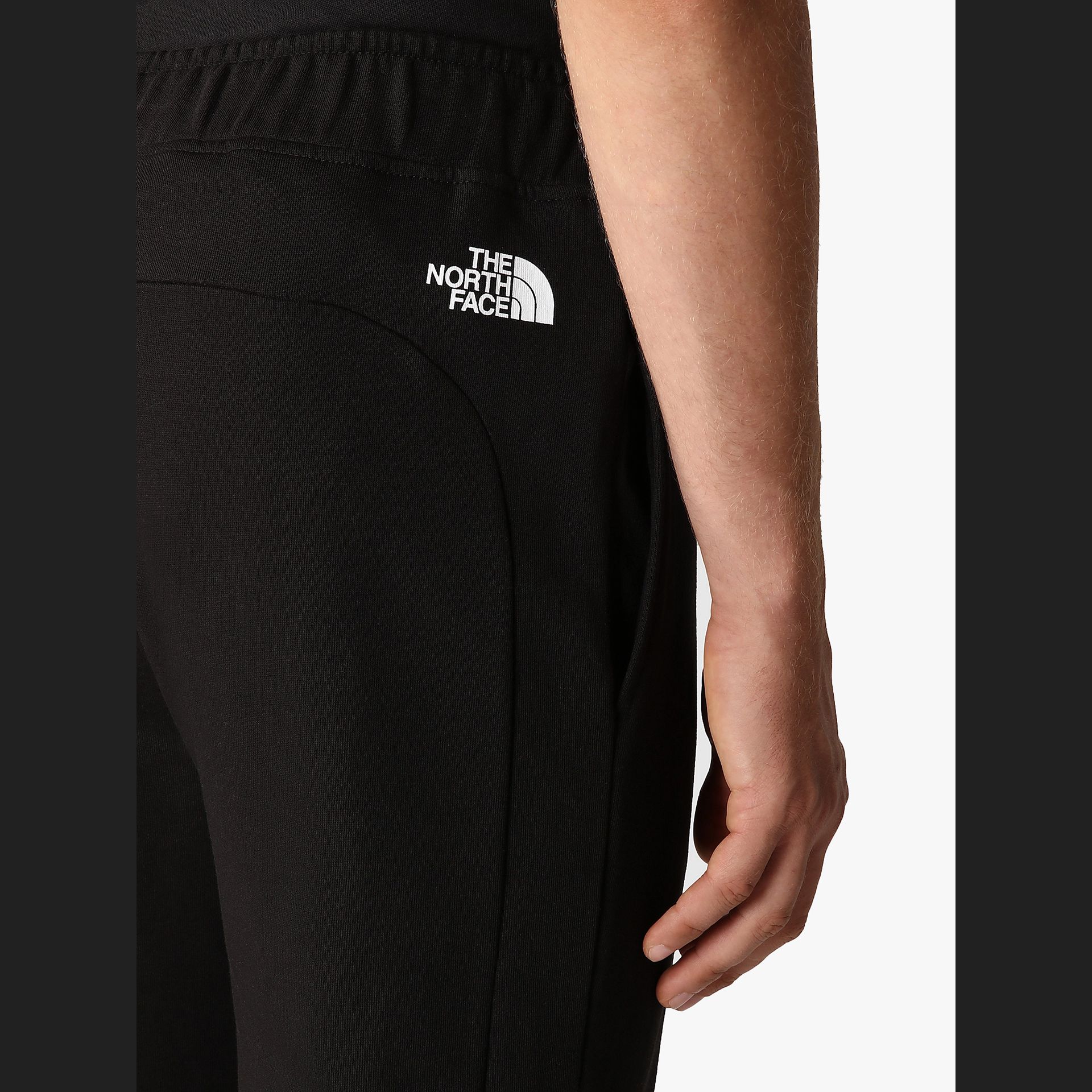 The North Face Summer Logo