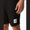 The North Face Summer Logo