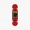 Tony Hawk 180+ Complete Bird Logo 8