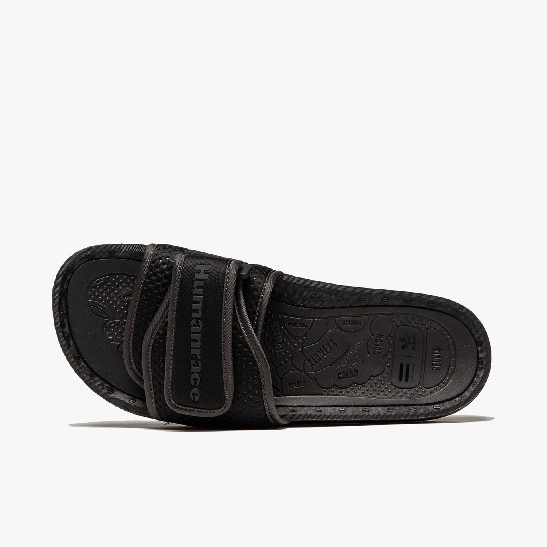 adidas Pharrell Williams Slides