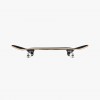 Tony Hawk 180 Complete Wingspan Special