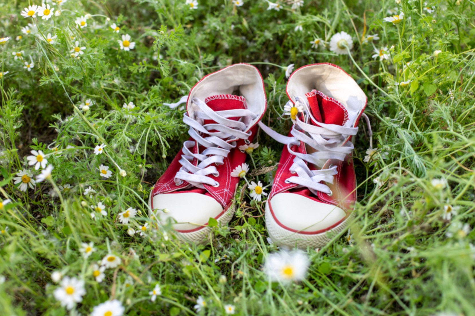 Sapatos: tendências sustentáveis para os seus looks. Sapatos: tendências sustentáveis para os seus looks.