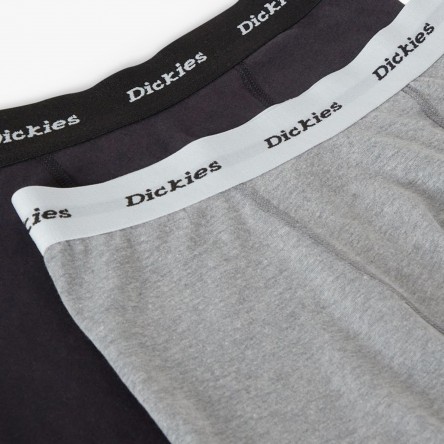 Dickies Trunks Pack 2 - DK0A4XOE AS0