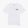 Dickies Paxico FNB