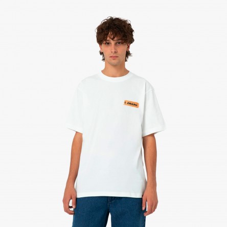 Dickies Paxico FNB - DK0A4YK5 WHX | Fuxia