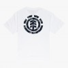 Element Paisley