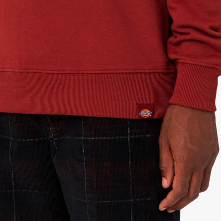 Dickies Aitkin - DK0A4XAB G43 | Fuxia