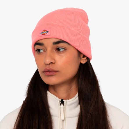 Dickies Gibsland - DK0A4X7K G02 | Fuxia