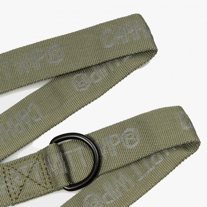 Carhartt WIP Script Dog Leash & Collar - I032612 1X3 XX | Fuxia