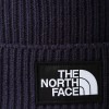 The North Face Logo Box