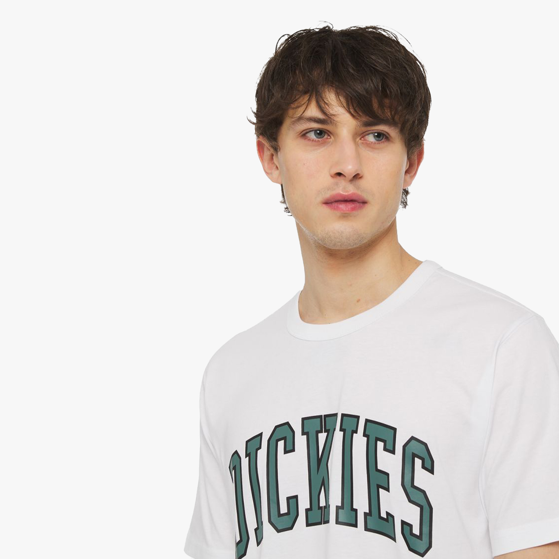 Dickies T-shirt Aitkin