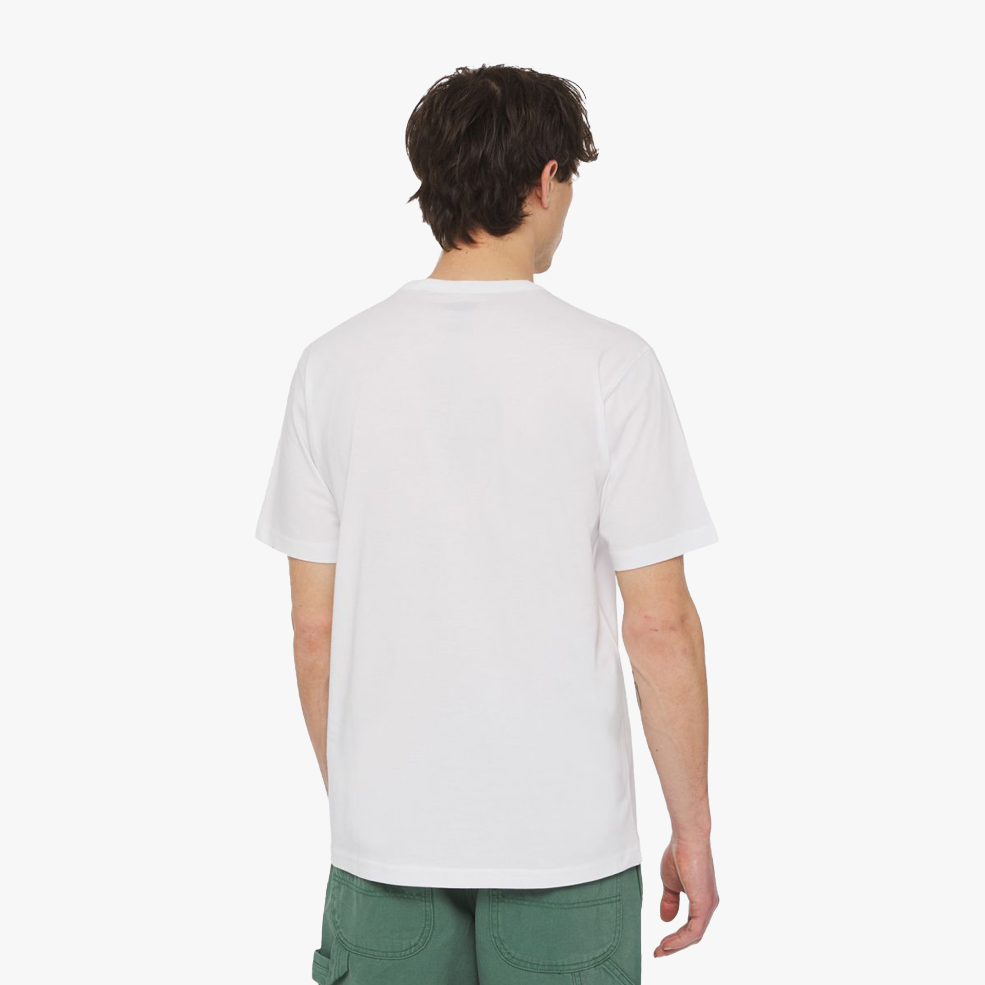 Dickies T-shirt Aitkin