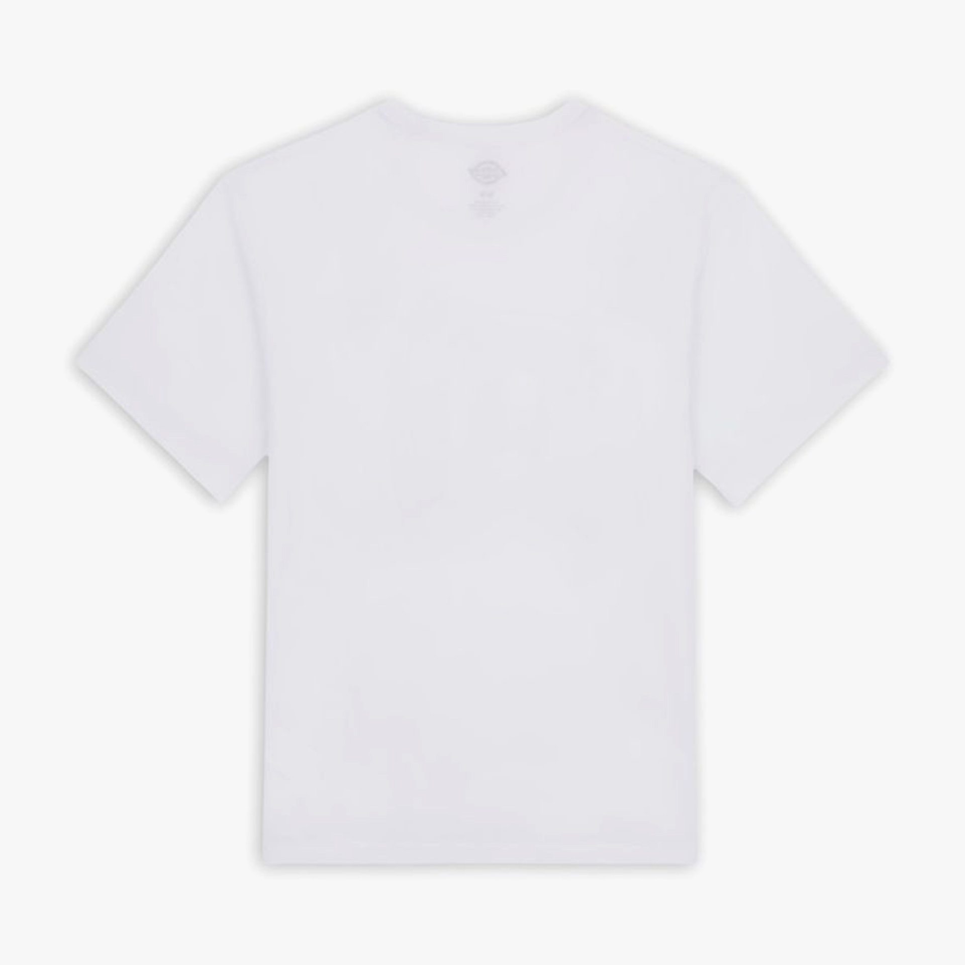 Dickies T-shirt Aitkin