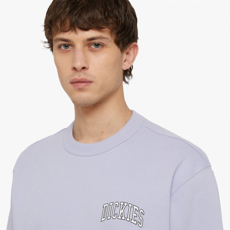 Dickies Aitkin Chest - DK0A4YBG H18 | Fuxia