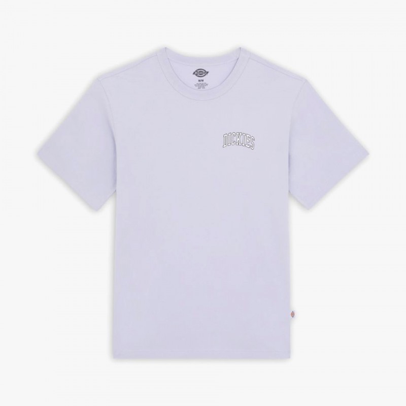 Dickies Aitkin Chest - DK0A4Y8O H18 | Fuxia