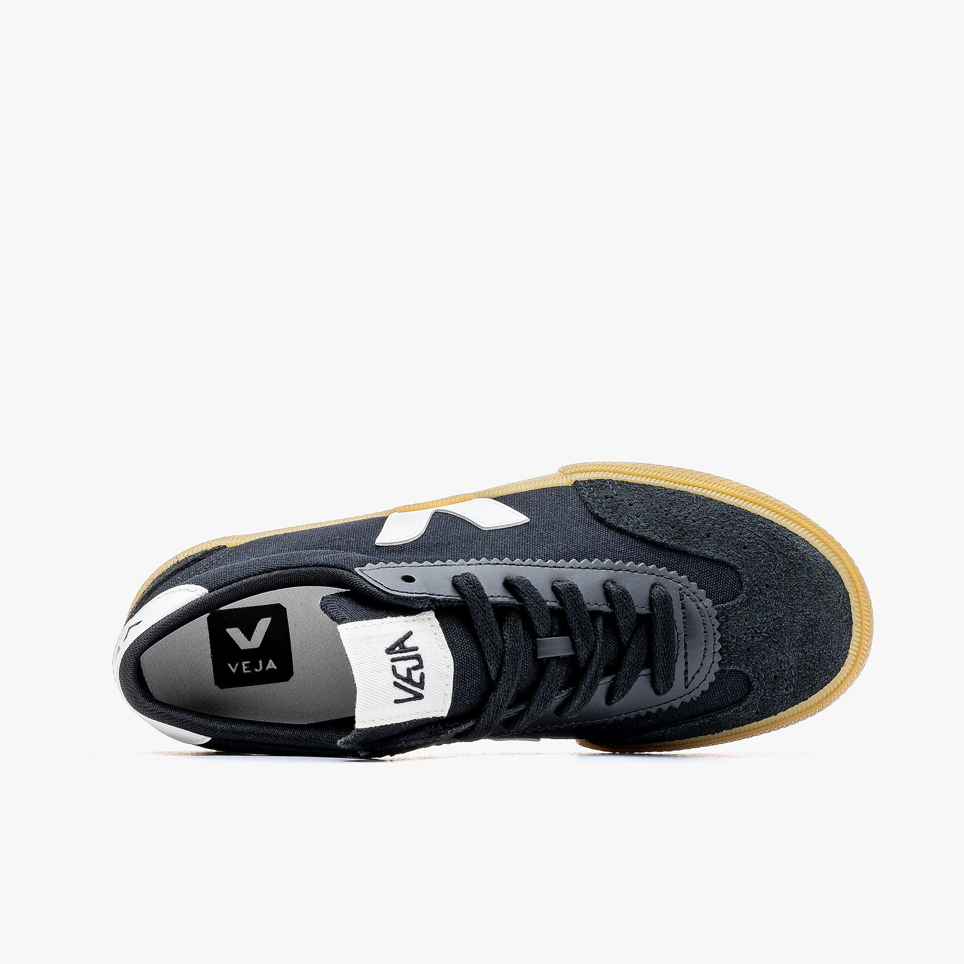 Veja Volley Canvas