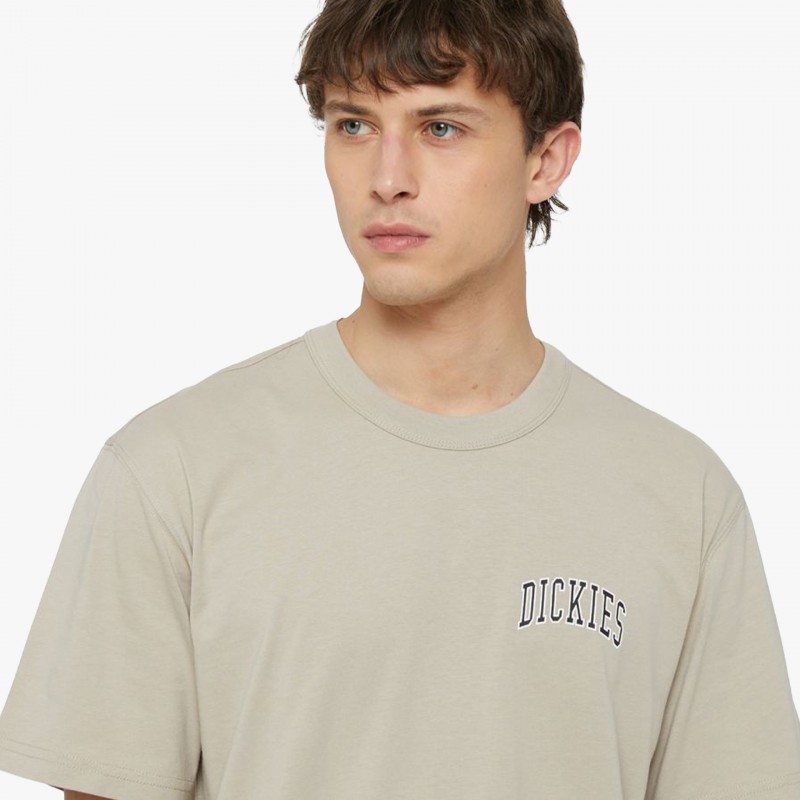 Dickies Aitkin Chest - DK0A4Y8O SS0 | Fuxia
