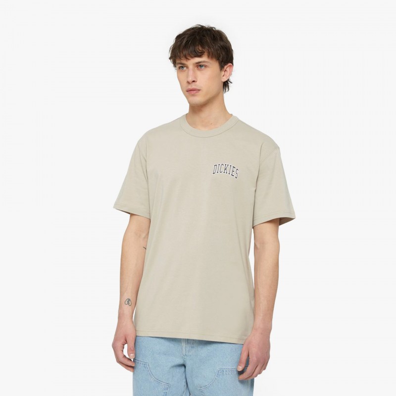 Dickies Aitkin Chest - DK0A4Y8O SS0 | Fuxia