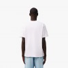 Lacoste Regular
