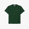 Lacoste Regular