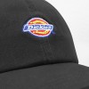 Dickies Hardwick