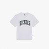 Dickies Aitkin