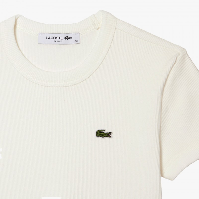 Lacoste Slim Fit Cotton - TF5538 70V | Fuxia, Urban Tribes United