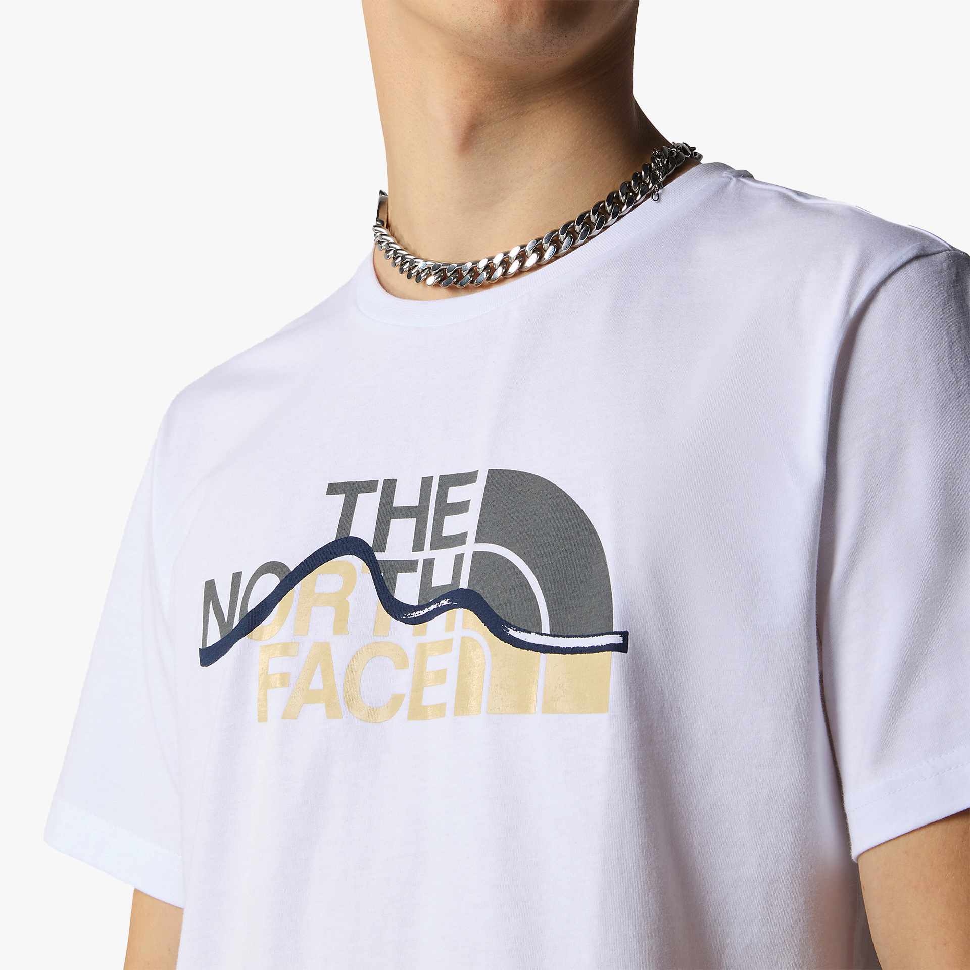 The North Face Mountain Line