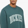 Dickies Aitkin