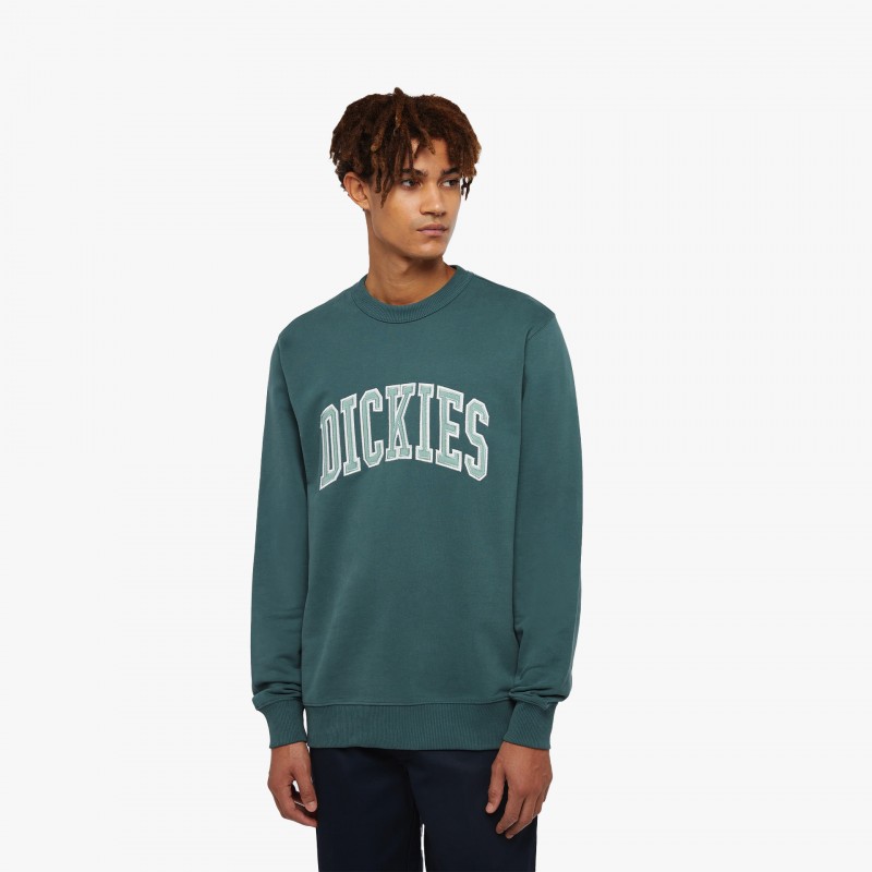 Dickies Aitkin - DK0A4XAB J95 | Fuxia, Urban Tribes United