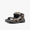 ECCO Offroad