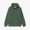 Carhartt WIP Hooded Script Chase