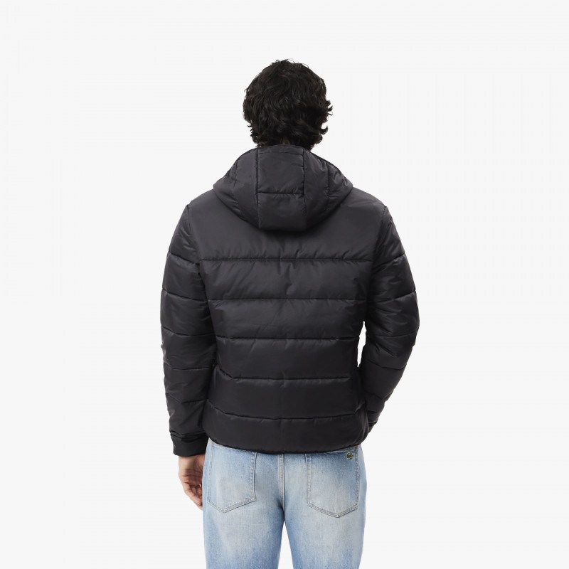 Lacoste Blouson Lacoste Blouson - BH6763 C31 - Fuxia, Urban Tribes United