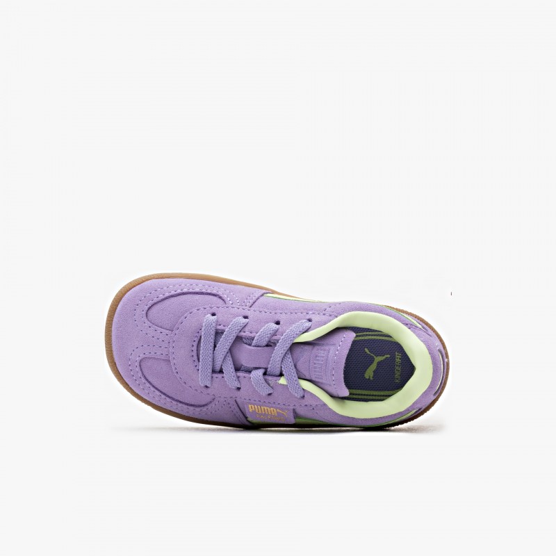 Puma Palermo AC Inf - 397274 19 | Fuxia, Urban Tribes United