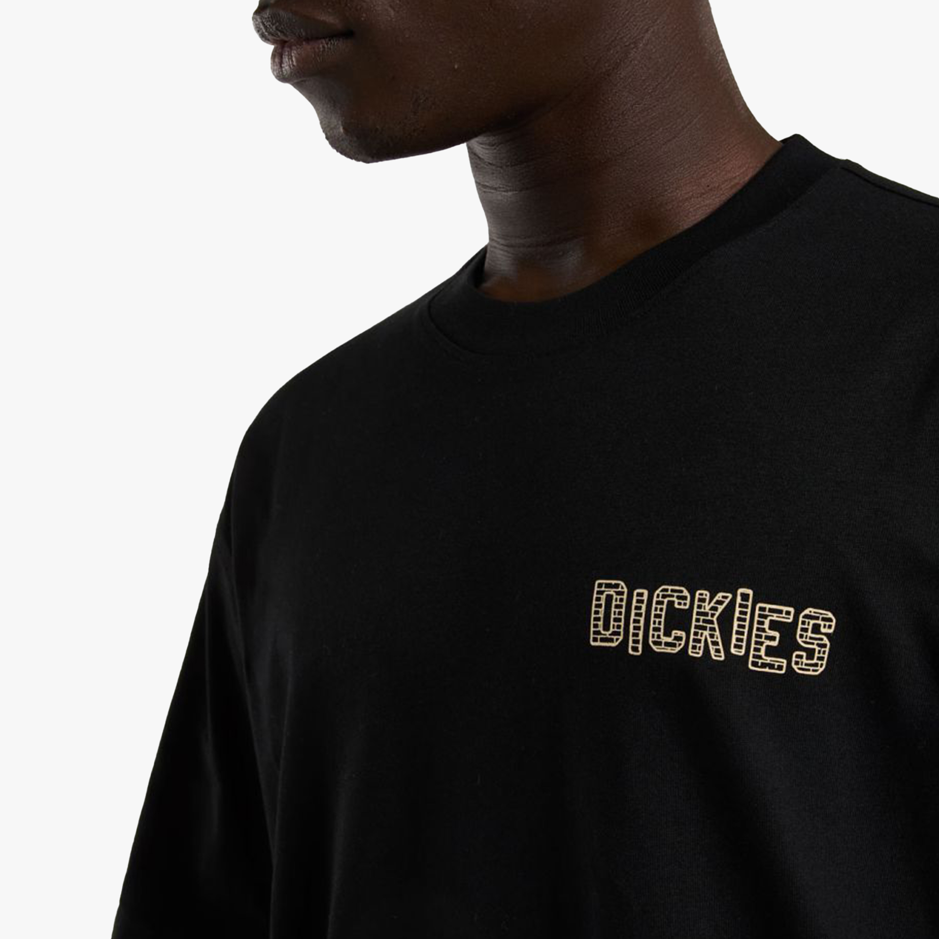 Dickies Bricklane SS