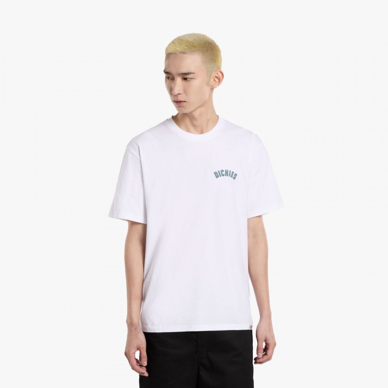 Dickies Circle Logo SS - DK0A4Z95 0WH | Fuxia, Urban Tribes United