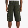Dickies Loose Denim Painter